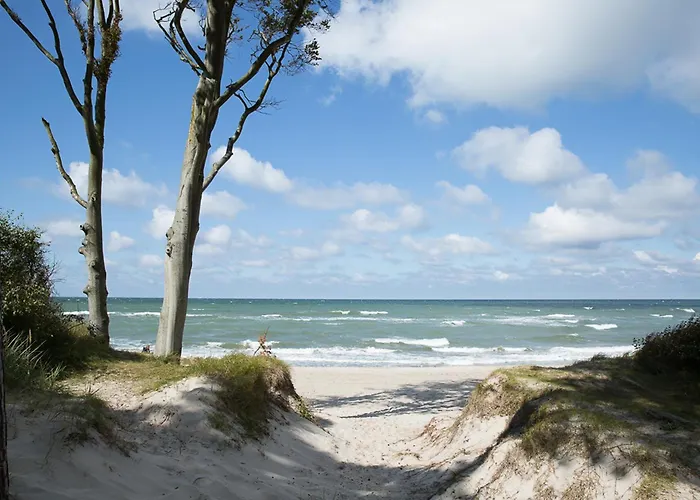 度假居 Seeadler 3 *