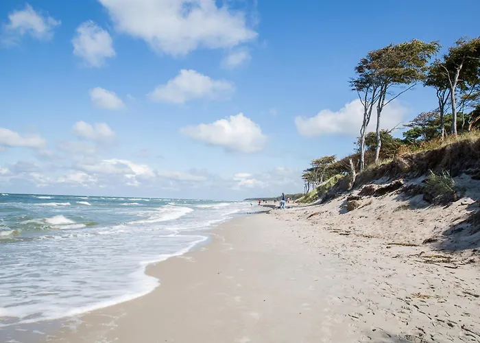 Seeadler 3 度假居 *