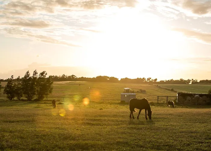 Seeadler 3 * Fuhlendorf (Mecklenburg-Vorpommern)