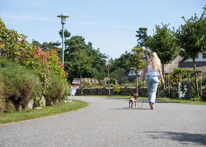 Seeadler 3 度假居 *